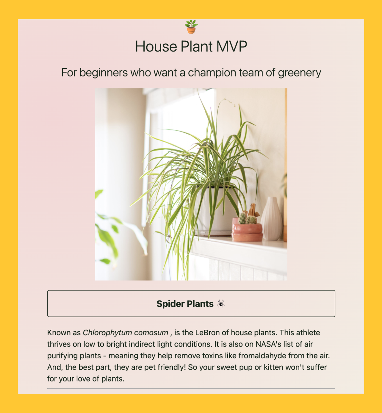 Spider Plant Landing Page Preview